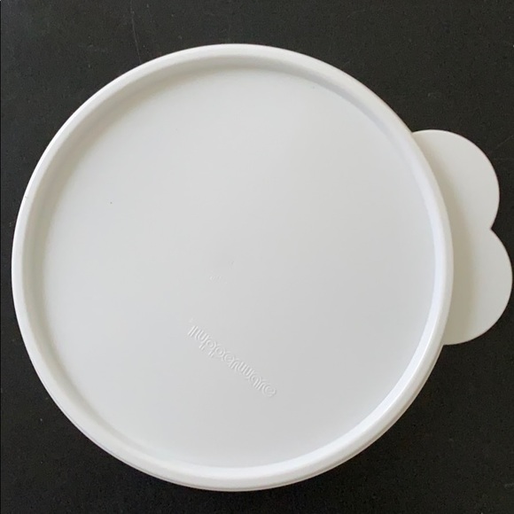 Divided Plate - Picture 5 of 9